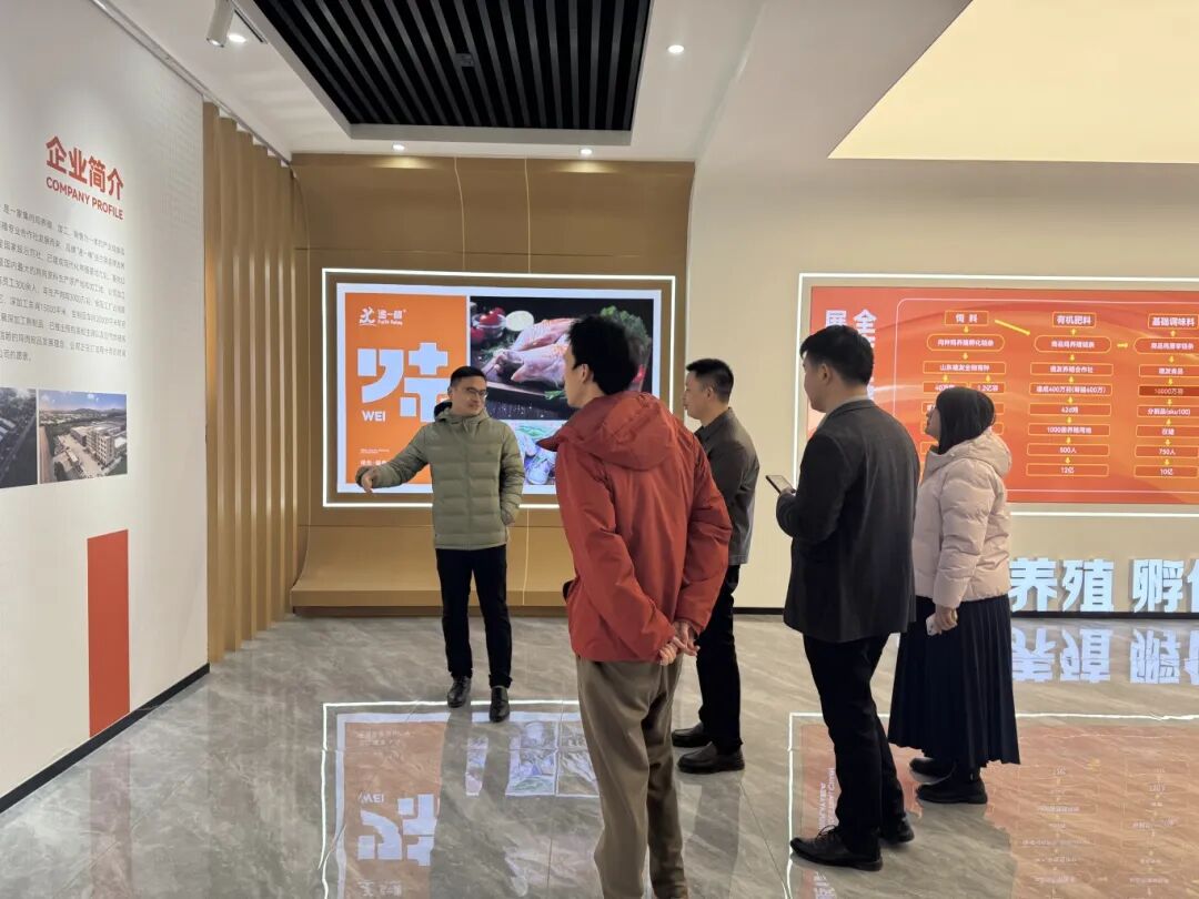 1769562388372441.jpg 1769562388372441.jpg