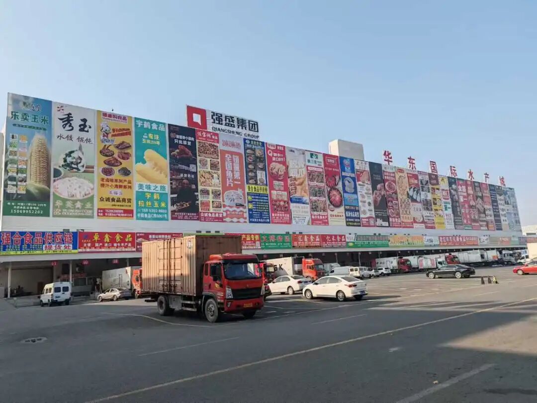 1769562453733866.jpg 1769562453733866.jpg