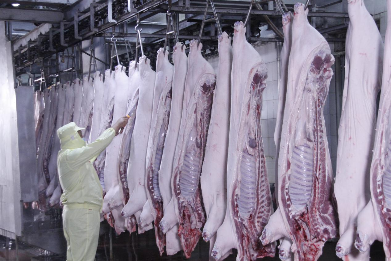 1772602620623689.png 1772602620623689.png